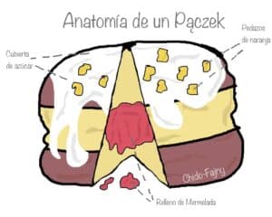 anatomia-paczek-min