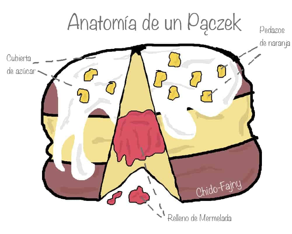 anatomia-paczek-min