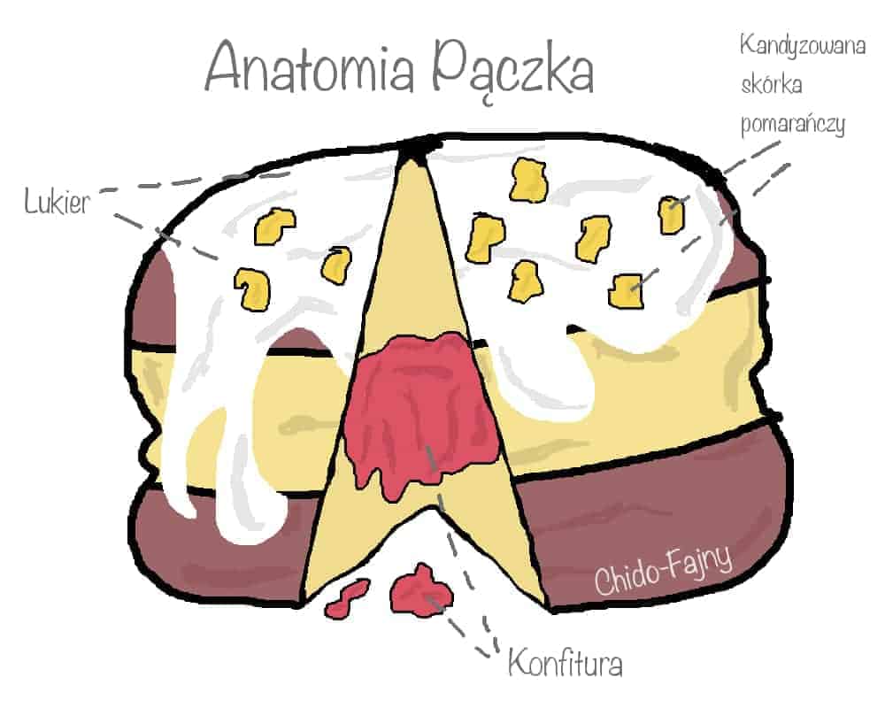 anatomia-paczek-pl-min