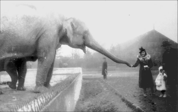 warsaw-zoo-1938-min