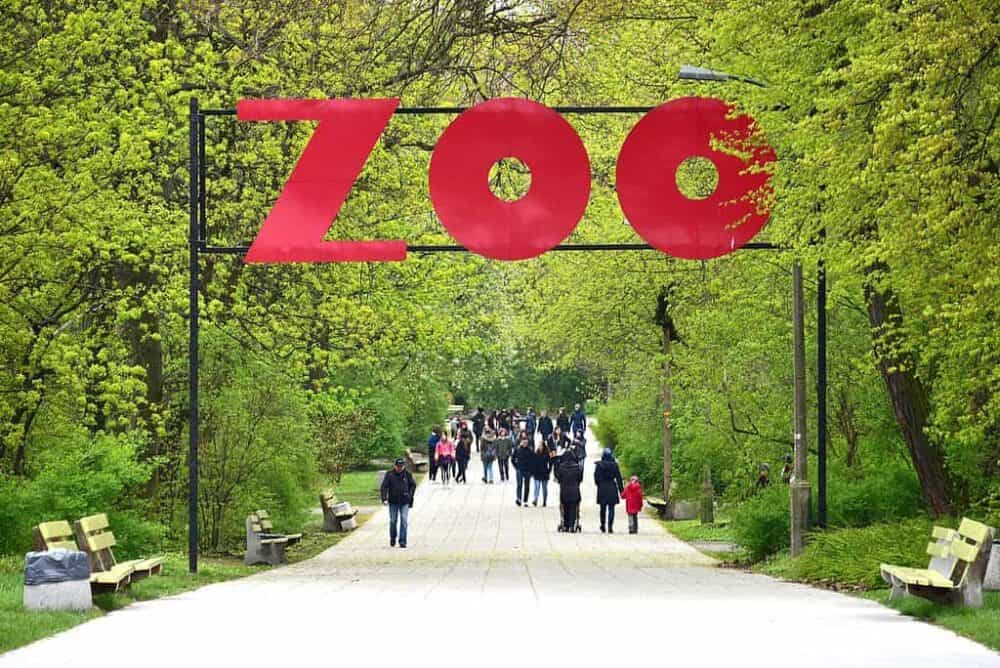 warsaw-zoo-today-min